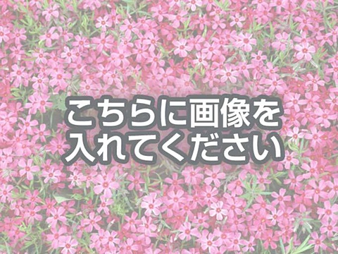 代替テキストをご記入ください