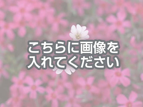 代替テキストをご記入ください