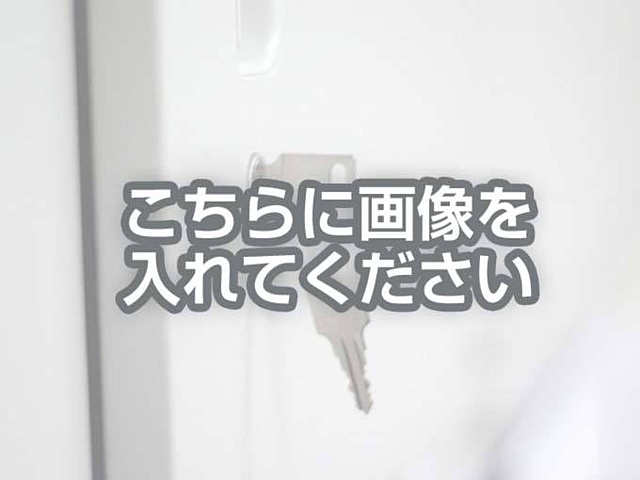代替テキストをご記入ください