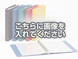 代替テキストをご記入ください 代替テキストをご記入ください