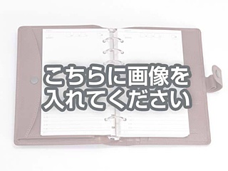 代替テキストをご記入ください 代替テキストをご記入ください